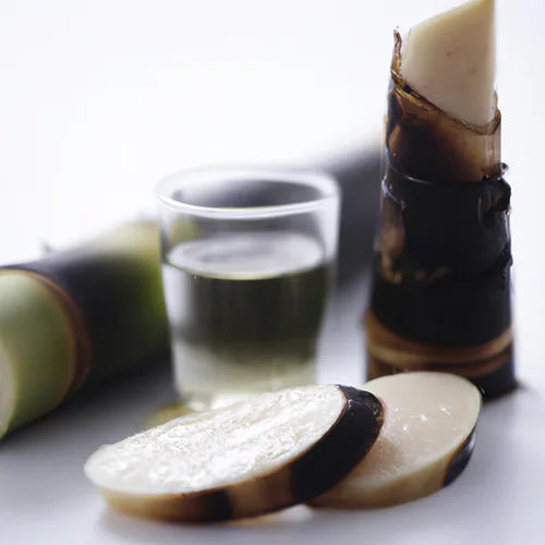 Vinaigre de bambou entouré de brin de bambou, présentation épurée sur fond blanc.